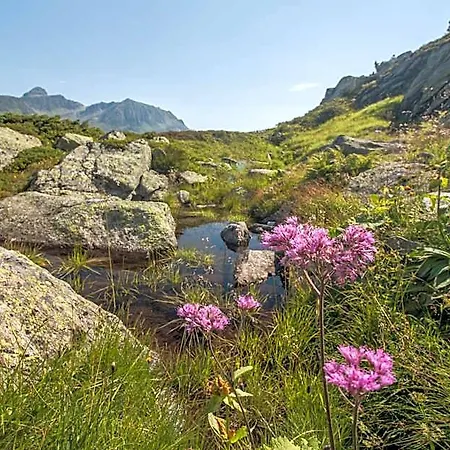 Bradabella - Montafon Gargellen