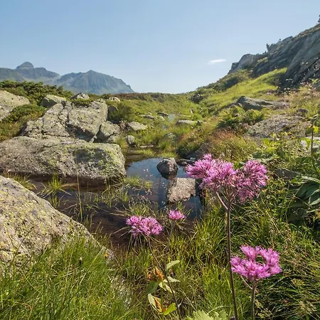 Bradabella - Montafon Hotel 4*